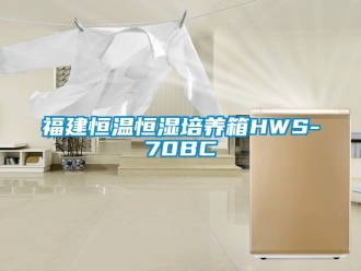 知識(shí)百科福建恒溫恒濕培養(yǎng)箱HWS-70BC
