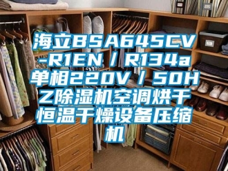 知識百科海立BSA645CV-R1EN／R134a單相220V／50HZ除濕機(jī)空調(diào)烘干恒溫干燥設(shè)備壓縮機(jī)