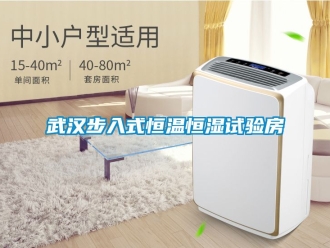 知識百科武漢步入式恒溫恒濕試驗房