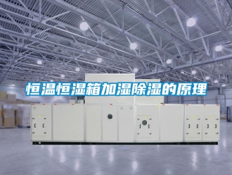 知識百科恒溫恒濕箱加濕除濕的原理