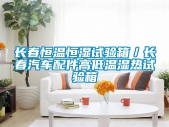 知識百科長春恒溫恒濕試驗(yàn)箱／長春汽車配件高低溫濕熱試驗(yàn)箱