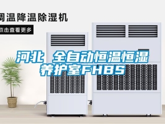 知識百科河北 全自動恒溫恒濕養護室FHBS