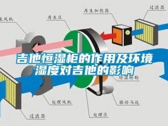 知識百科吉他恒濕柜的作用及環境濕度對吉他的影響