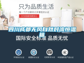 知識百科四川成都無風自然對流恒溫箱