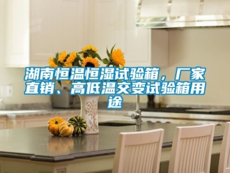 知識(shí)百科湖南恒溫恒濕試驗(yàn)箱，廠家直銷(xiāo)、高低溫交變?cè)囼?yàn)箱用途