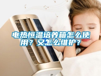 知識(shí)百科電熱恒溫培養(yǎng)箱怎么使用？又怎么維護(hù)？