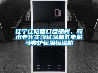 知識百科遼寧遼陽營口盤錦州、鞍山老化實驗試驗箱式電阻馬弗爐恒溫恒濕箱