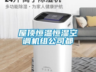 知識百科屋頂恒溫恒濕空調機組公司都