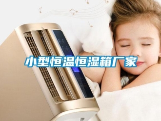 知識(shí)百科小型恒溫恒濕箱廠家