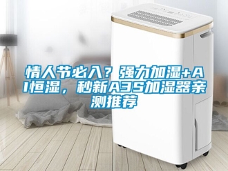 知識百科情人節必入？強力加濕+AI恒濕，秒新A3S加濕器親測推薦