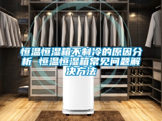 知識(shí)百科恒溫恒濕箱不制冷的原因分析 恒溫恒濕箱常見問題解決方法