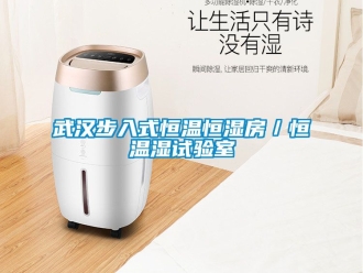 知識百科武漢步入式恒溫恒濕房／恒溫濕試驗室