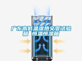 知識百科廣東高低溫濕熱交變試驗箱 恒溫恒濕箱