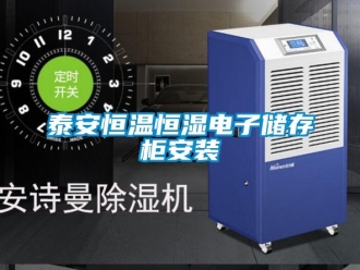 知識百科泰安恒溫恒濕電子儲存柜安裝