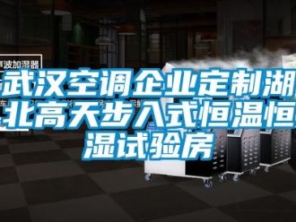 知識百科武漢空調企業定制湖北高天步入式恒溫恒濕試驗房
