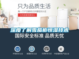 知識(shí)百科深度了解雪茄柜恒濕技術(shù)