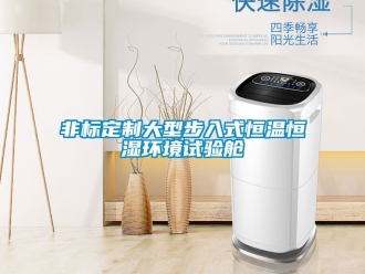 知識百科非標定制大型步入式恒溫恒濕環境試驗艙