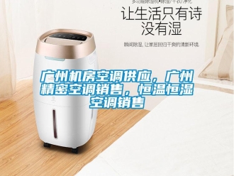 知識百科廣州機房空調供應，廣州精密空調銷售，恒溫恒濕空調銷售