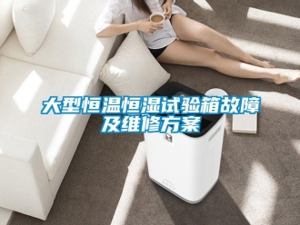 知識百科大型恒溫恒濕試驗箱故障及維修方案