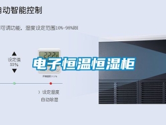 知識(shí)百科電子恒溫恒濕柜