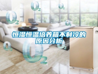 知識(shí)百科恒濕恒溫培養(yǎng)箱不制冷的原因分析