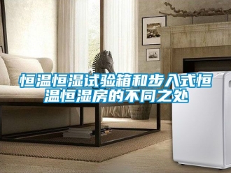 知識百科恒溫恒濕試驗箱和步入式恒溫恒濕房的不同之處