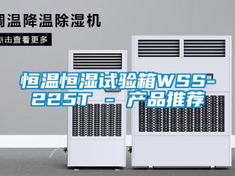 知識百科恒溫恒濕試驗箱WSS-225T - 產品推薦