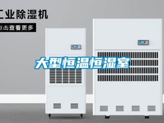 知識百科大型恒溫恒濕室