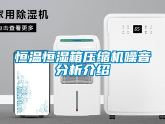 知識百科恒溫恒濕箱壓縮機噪音分析介紹