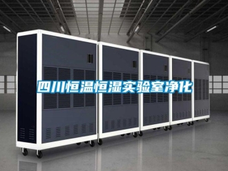 知識百科四川恒溫恒濕實驗室凈化