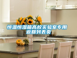 知識百科恒溫恒濕箱高校實驗室專用 返回列表頁