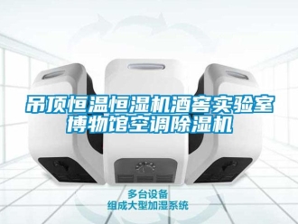 知識百科吊頂恒溫恒濕機酒窖實驗室博物館空調除濕機