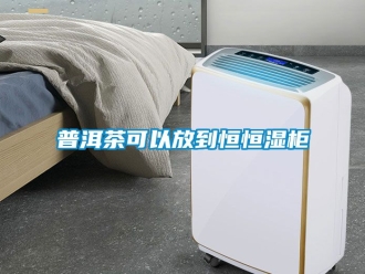 知識百科普洱茶可以放到恒恒濕柜