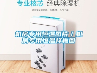 知識百科機房專用恒溫圖片／機房專用恒溫樣板圖