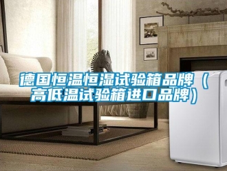 知識百科德國恒溫恒濕試驗箱品牌（高低溫試驗箱進口品牌）