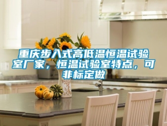 知識百科重慶步入式高低溫恒溫試驗室廠家，恒溫試驗室特點，可非標(biāo)定做