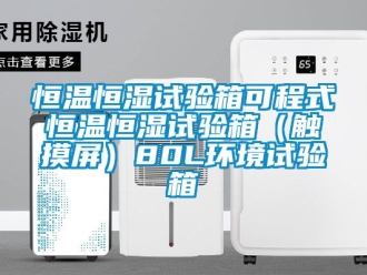 知識百科恒溫恒濕試驗箱可程式恒溫恒濕試驗箱（觸摸屏）80L環境試驗箱
