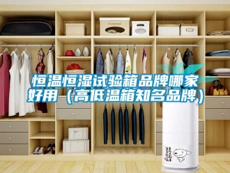 知識百科恒溫恒濕試驗箱品牌哪家好用（高低溫箱知名品牌）