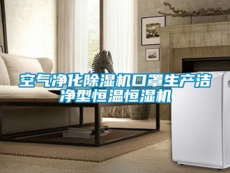 知識(shí)百科空氣凈化除濕機(jī)口罩生產(chǎn)潔凈型恒溫恒濕機(jī)