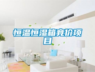 知識百科恒溫恒濕箱競價項目