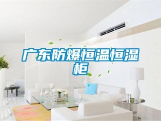 知識百科廣東防爆恒溫恒濕柜