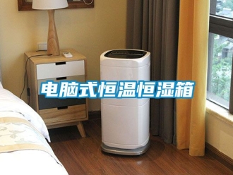 知識(shí)百科電腦式恒溫恒濕箱