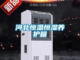 知識百科河北恒溫恒濕養護箱